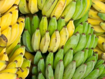 香蕉该如何施肥好,风光农业水溶肥