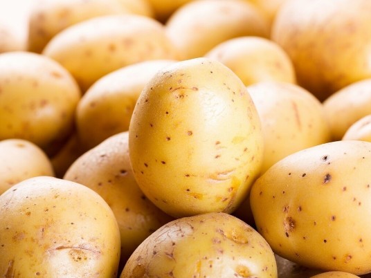 土豆冬季施什么肥好,风光农业水溶肥