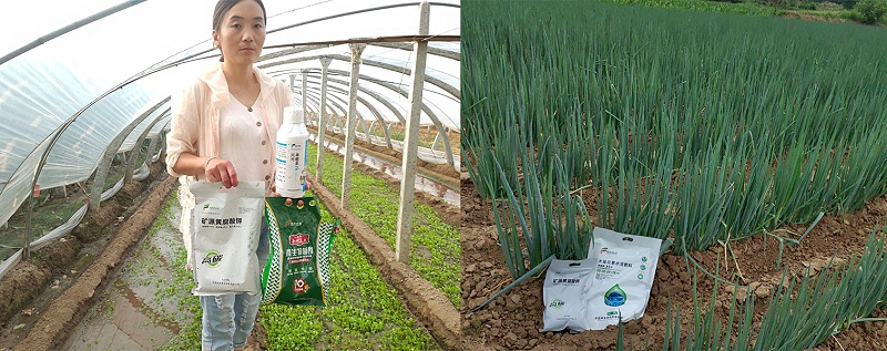 风光农业产品使用效果图-风光农业水溶肥