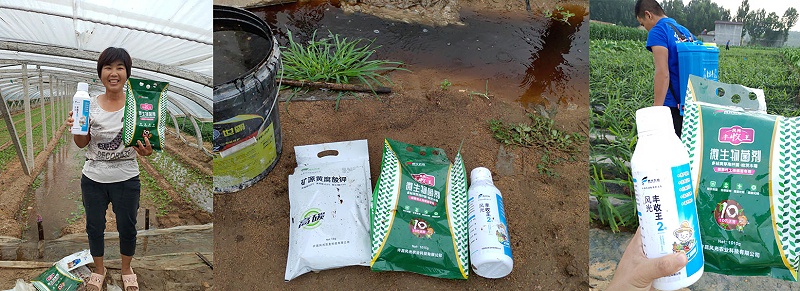水溶肥和冲施肥有什么区别-风光农业水溶肥