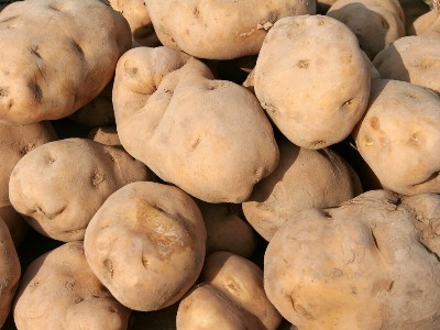土豆该如何施肥好,风光农业水溶肥