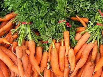 胡萝卜怎样施肥产量高-风光农业水溶肥