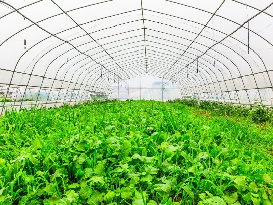 大棚蔬菜如何合理施肥,风光农业水溶肥